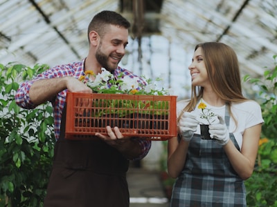 Indoor ornamental plants in decorative pots